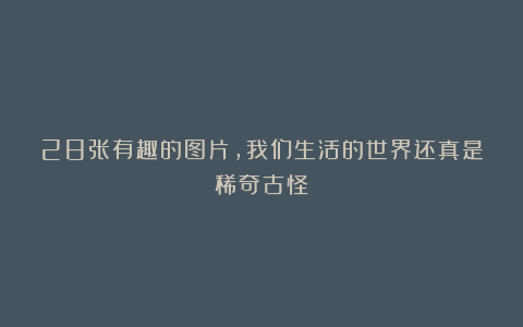 28张有趣的图片,我们生活的世界还真是稀奇古怪!