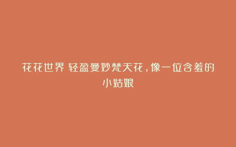 花花世界:轻盈曼妙梵天花,像一位含羞的小姑娘