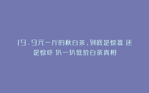 19.9元一斤的秋白茶，到底是惊喜？还是惊吓？扒一扒低价白茶真相