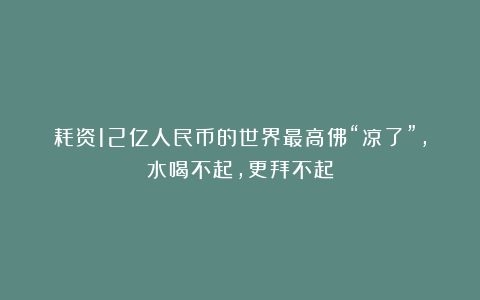 耗资12亿人民币的世界最高佛“凉了”,水喝不起,更拜不起