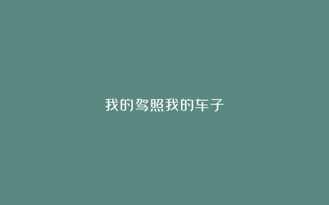 我的驾照我的车子