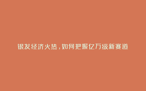 银发经济火热,如何把握亿万级新赛道?
