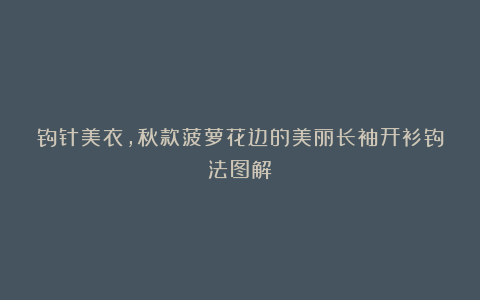 钩针美衣,秋款菠萝花边的美丽长袖开衫钩法图解