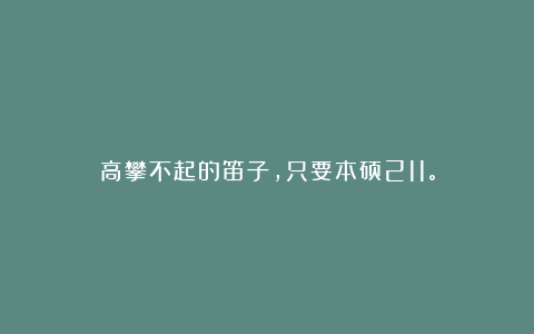 高攀不起的笛子,只要本硕211。