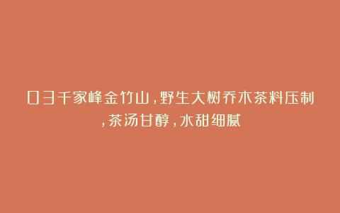 03千家峰金竹山,野生大树乔木茶料压制,茶汤甘醇,水甜细腻