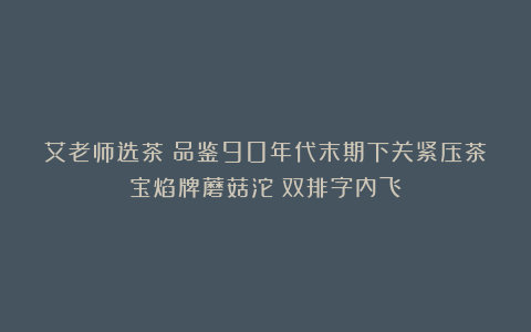 艾老师选茶：品鉴90年代末期下关紧压茶宝焰牌蘑菇沱（双排字内飞）