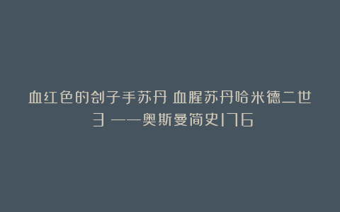 血红色的刽子手苏丹:血腥苏丹哈米德二世(3)——奥斯曼简史176