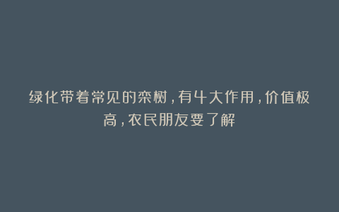 绿化带着常见的栾树,有4大作用,价值极高,农民朋友要了解!