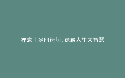 禅意十足的诗句,深藏人生大智慧