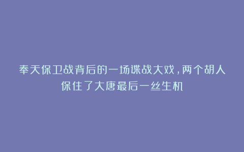 奉天保卫战背后的一场谍战大戏,两个胡人保住了大唐最后一丝生机