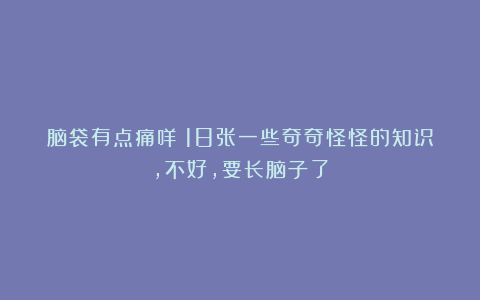 脑袋有点痛咩!18张一些奇奇怪怪的知识,不好,要长脑子了