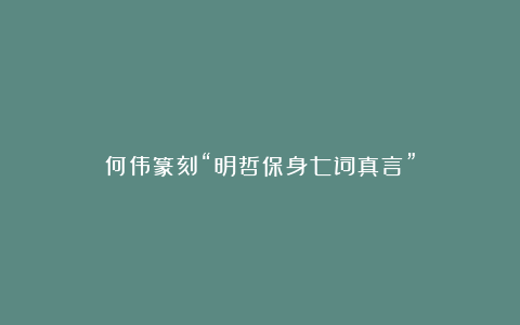 何伟篆刻“明哲保身七词真言”