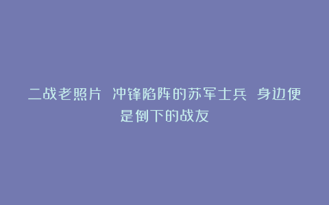 二战老照片 冲锋陷阵的苏军士兵 身边便是倒下的战友
