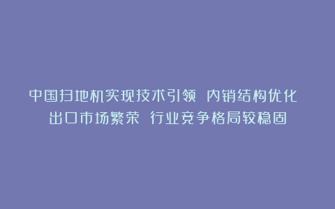 中国扫地机实现技术引领 内销结构优化 出口市场繁荣 行业竞争格局较稳固