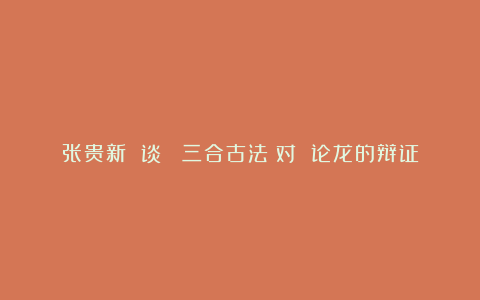 张贵新 谈 《三合古法》对 论龙的辩证