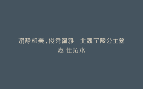 娟静和美,俊秀温雅◇◇《北魏宁陵公主墓志》佳拓本