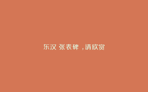 东汉《张表碑》,请欣赏