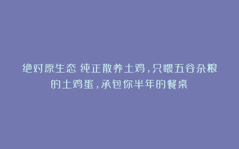 绝对原生态!纯正散养土鸡,只喂五谷杂粮的土鸡蛋,承包你半年的餐桌!