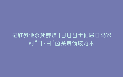 是谁教他杀死婶婶？1989年仙居县马家村“7·9”凶杀案侦破始末