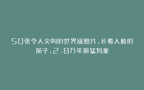 50张令人尖叫的世界级照片，长着人脸的茄子，2.8万年前猛犸象