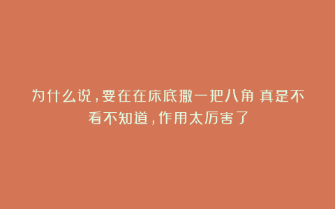 为什么说,要在在床底撒一把八角?真是不看不知道,作用太厉害了