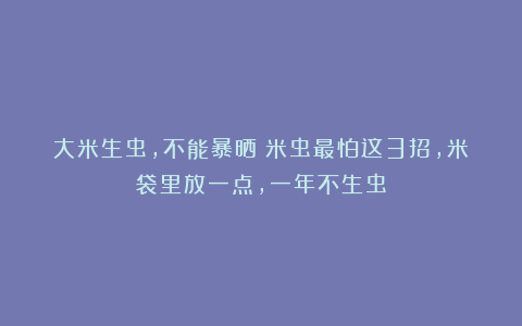 大米生虫,不能暴晒!米虫最怕这3招,米袋里放一点,一年不生虫