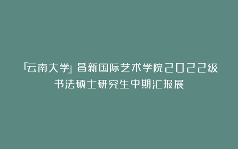 『云南大学』昌新国际艺术学院2022级书法硕士研究生中期汇报展