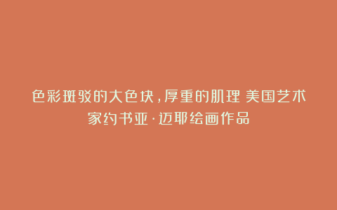 色彩斑驳的大色块，厚重的肌理︱美国艺术家约书亚·迈耶绘画作品