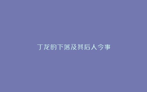 丁龙的下落及其后人今事