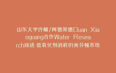 山东大学许醒/阿德莱德Duan Xiaoguang合作Water Research综述：低氧化剂消耗的类芬顿系统