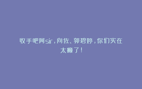 收手吧阿sir,向佐、郭碧婷,你们实在太癫了!