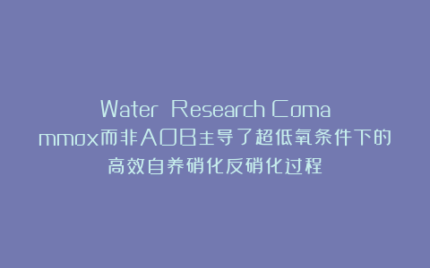 Water Research|Comammox而非AOB主导了超低氧条件下的高效自养硝化反硝化过程