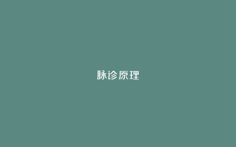 脉诊原理