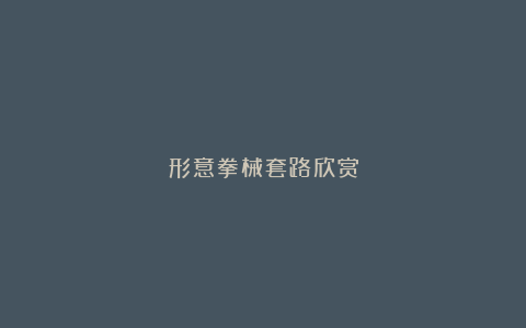 形意拳械套路欣赏