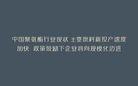 中国聚氨酯行业现状：主要原料新投产速度加快 政策鼓励下企业将向规模化迈进