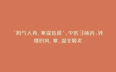 ‘阳气入背、寒湿皆退’,中医3味药,骨缝的风、寒、湿全吸走!
