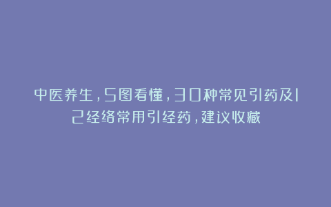 中医养生，5图看懂，30种常见引药及12经络常用引经药，建议收藏