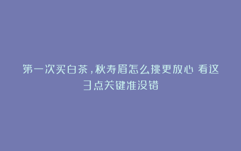 第一次买白茶,秋寿眉怎么挑更放心?看这3点关键准没错