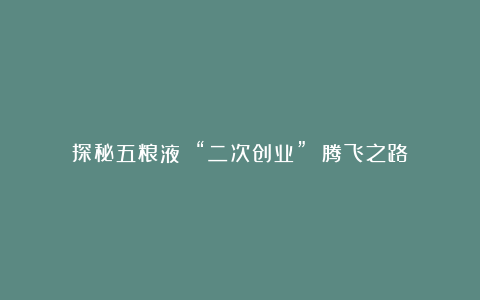探秘五粮液 “二次创业” 腾飞之路