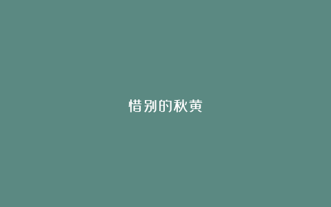 惜别的秋黄