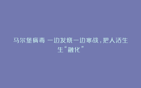 马尔堡病毒:一边发烧一边寒战,把人活生生“融化”