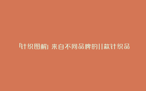 「针织图解」来自不同品牌的11款针织品