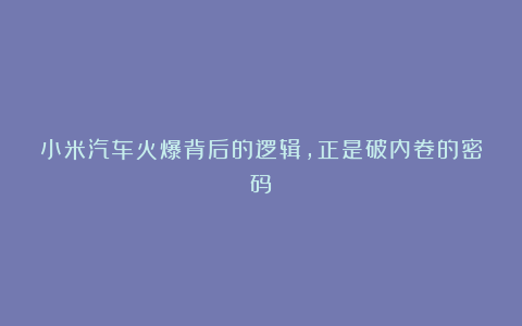小米汽车火爆背后的逻辑,正是破内卷的密码?