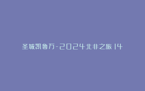 圣城凯鲁万-2024北非之旅(14)