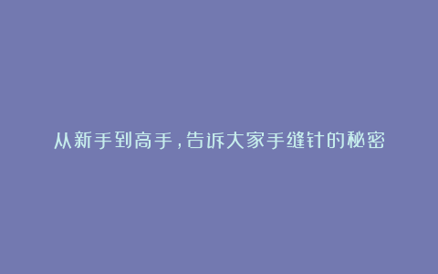 从新手到高手,告诉大家手缝针的秘密