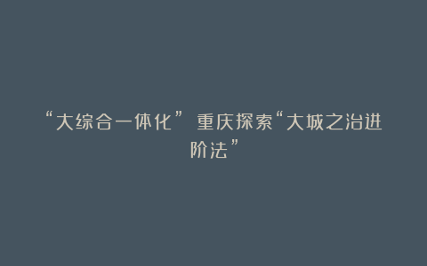 “大综合一体化” 重庆探索“大城之治进阶法”