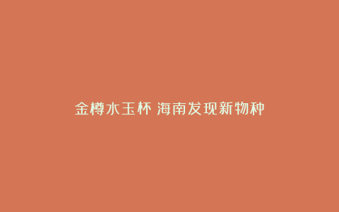 金樽水玉杯！海南发现新物种→