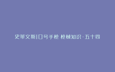 史蒂文斯10号手枪(枪械知识·五十四)