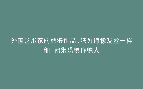 外国艺术家的剪纸作品,纸剪得像发丝一样细,密集恐惧症慎入