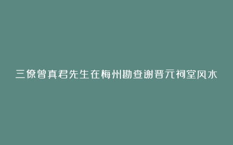 三僚曾真君先生在梅州勘查谢晋元祠堂风水